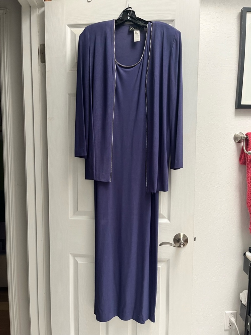 Alex Evenings Purple Petite Evening Dress with Beaded Trim